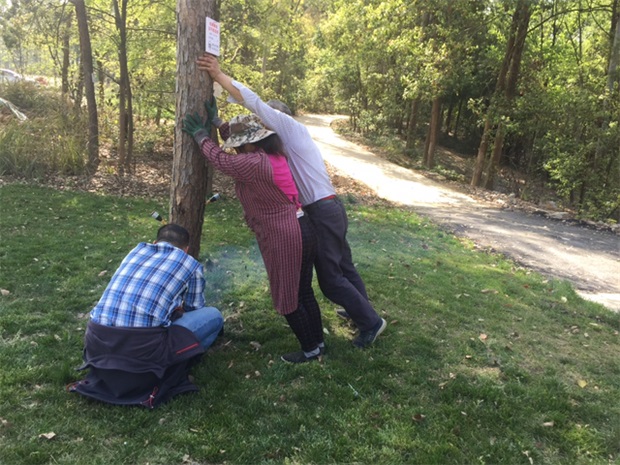 10 天府新区有害生物防治放哨.jpg